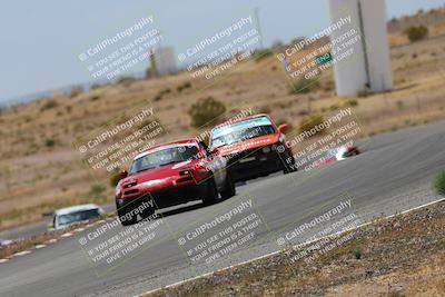 media/May-03-2025-Lucky Dog Racing (Sat) [[206de64b9d]]/Turn 6 (150pm-230pm)/